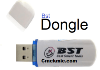 BST Dongle 4.03 Crack [Setup + Loader] Without Box Download