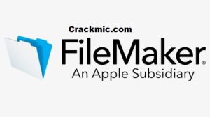FileMaker Pro 19.6.3.302 Crack + Serial Key 2022 Free Download