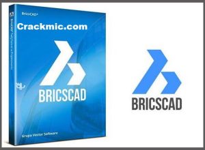 BricsCad Platinum 22.2.07 Crack + Serial Key 100% Working 2D
