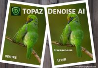 Topaz DeNoise AI 3.6.2 Crack With Serial Key Full Version [2022]