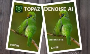 Topaz DeNoise AI 3.7.1 Crack With Serial Key Full Version [2022]