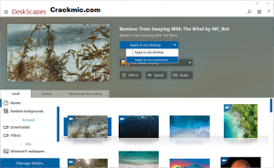 DeskScapes 11 Crack + Product Key Free Download (Latest)