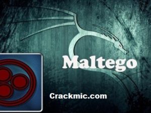 Maltego 4.4.1 Crack & License key [Latest] Free Download