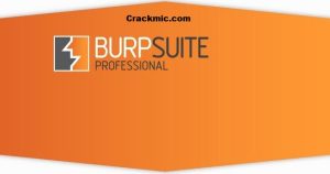 Burp Suite Pro 2022.9 Crack + License key Full Free Download