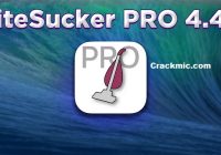 SiteSucker Pro 5.0.4 Crack + License key (macOS) Free Download